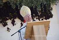 20140907 silines 0099 ms