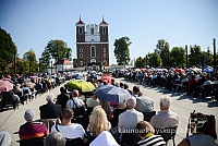 20140907 silines 0104 ms