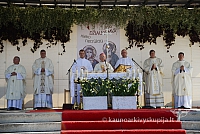 20140907 silines 0118 ms