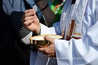 20140907 silines 0146 ms