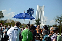 20140907 silines 0148 ms