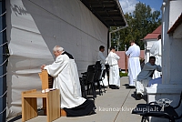 20140907 silines 0163 ms