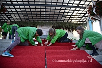 20140908 silines 0231 ms