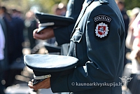 20140908 silines 0348 ms