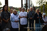 20140908 silines 0495 ms