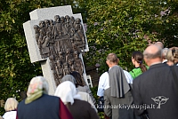 20140908 silines 0499 ms