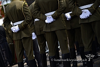 20140909 silines 0856 ms