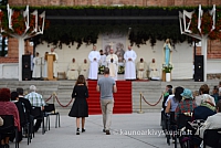 20140909 silines 0966 ms