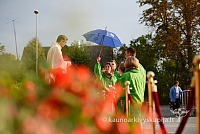 20140909 silines 0981 ms