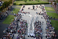 20140910 silines 1077 ms