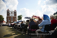 20140910 silines 1141 ms