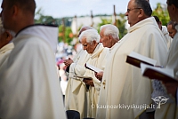 20140910 silines 1171 ms