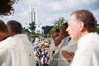 20140910 silines 1194 ms