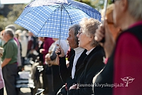 20140910 silines 1227 ms