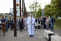 20140910 silines 1285 ms