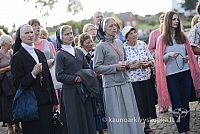 20140910 silines 1291 ms