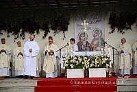 20140910 silines 1317 ms