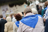 20140911 silines 1434 ms