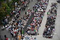 20140911 silines 1478 ms