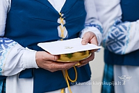 20140911 silines 1496 ms