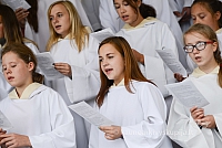 20140911 silines 1562 ms