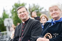 20140911 silines 1620 ms