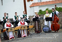 20140911 silines 1631 ms