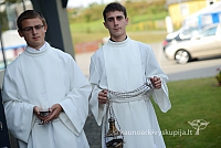 20140912 silines 1954 ms