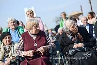 20140912 silines 1981 ms