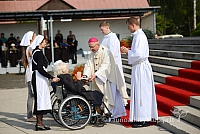 20140912 silines 2013 ms