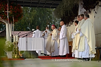 20140912 silines 2088 ms