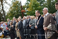 20140913 silines 2179 ms