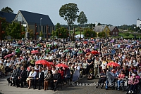 20140913 silines 2219 ms