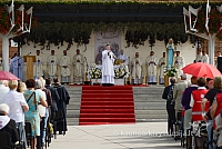 20140913 silines 2271 ms