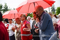 20140913 silines 2290 ms