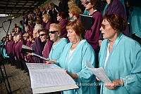 20140913 silines 2293 ms