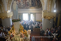 20140913 silines 2389 ms