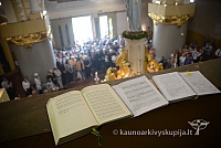 20140913 silines 2391 ms