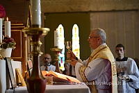 20140913 silines 2411 ms