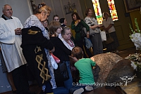 20140913 silines 2439 ms