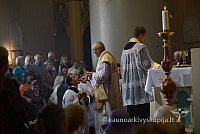 20140913 silines 2454 ms