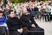 20140914 silines 2834 ms