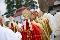 20140914 silines 2882 ms