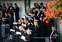 20140914 silines 2917 ms