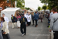 20140914 silines 2941 ms