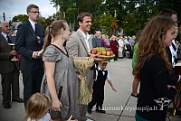 20140914 silines 2972 ms