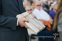 20140914 silines 2983 ms