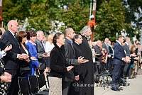 20140914 silines 3045 ms