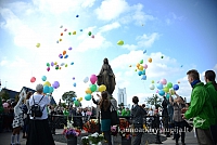 20140914 silines 3102 ms