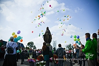 20140914 silines 3104 ms